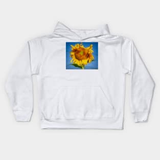 A Breath Of Fresh Air Kids Hoodie